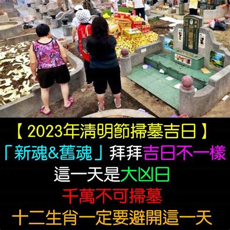 2023清明掃墓吉日|2023年清明節掃墓吉日吉時曝光！命理師一篇文揭哪些日子不能。